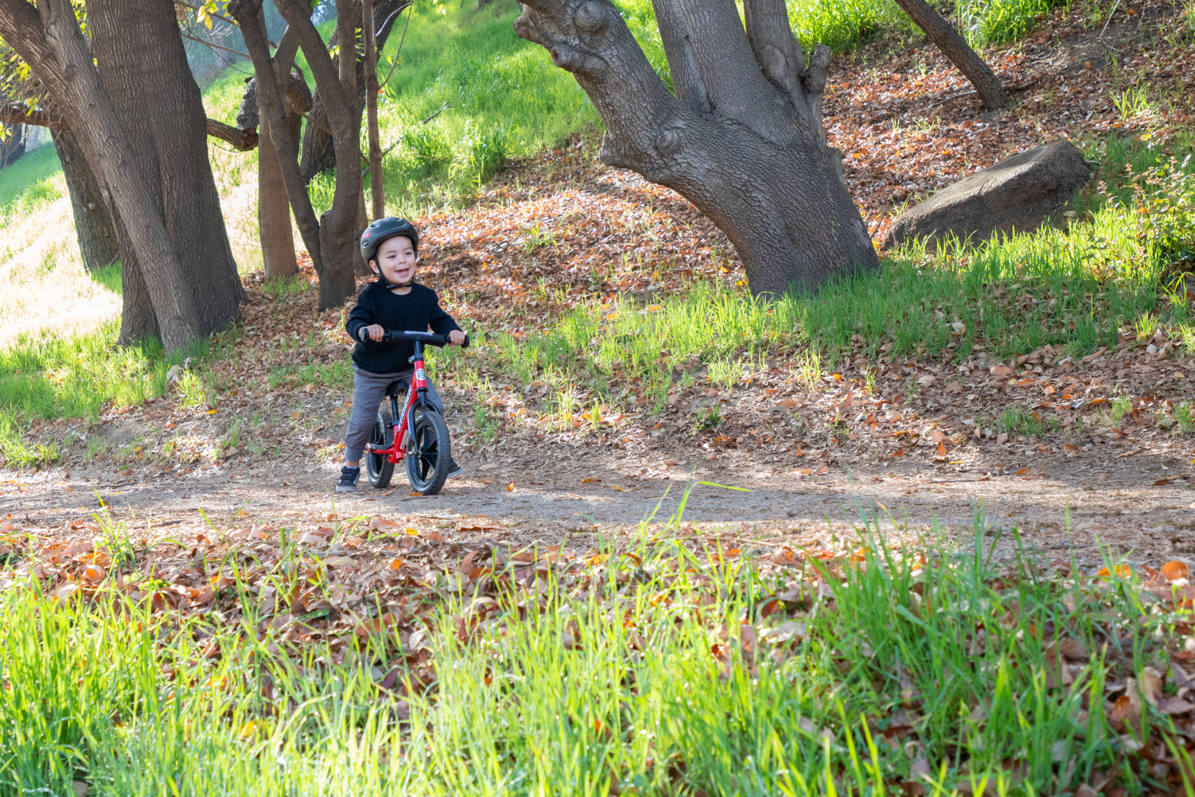 child on balance bike in forest - bike club