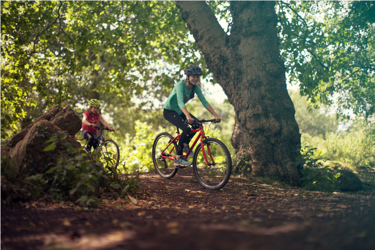 frog 73 in forest - bike club