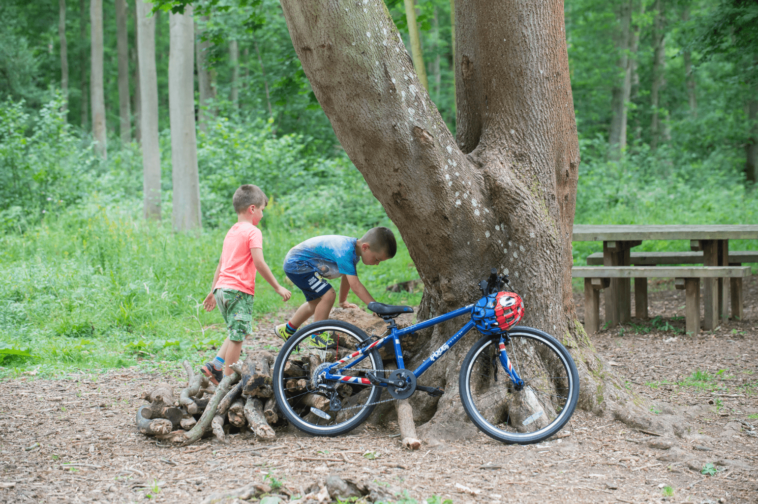 children in the woods with a Frog 52 - bike club