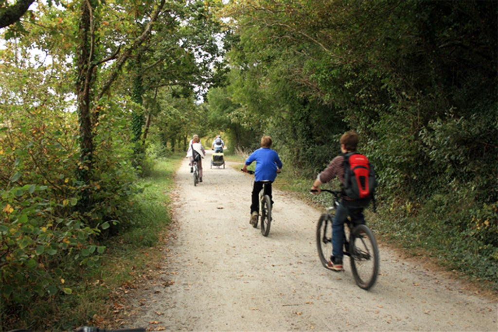 the camel trail Cornwall