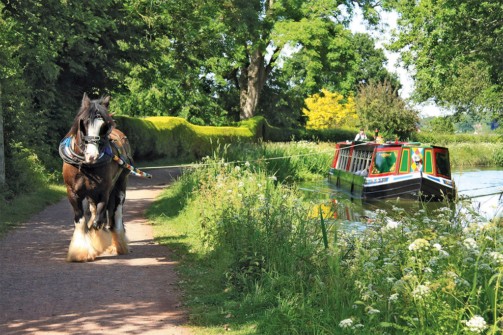 Grand Western Canal Family Cycle Route for Bike Rides