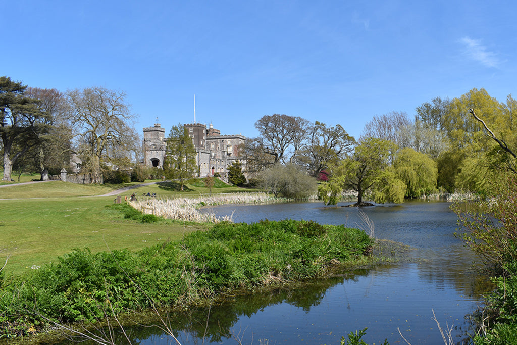 Powderham Castle