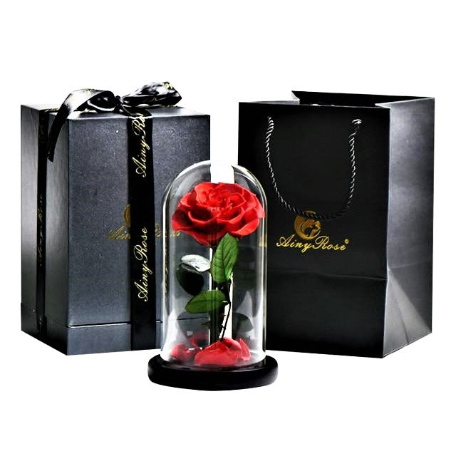 Preserved Rose In Glass Dome + Gift Box – Madeofrose