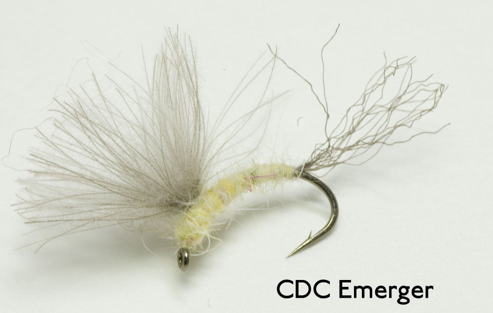 Delaware River Club Online Fly Shop — Light Blue Winged Olive (Ephemerella  cornuta)