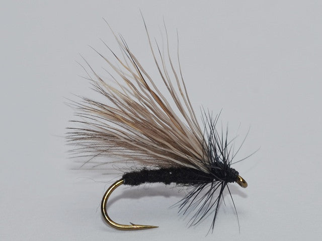 Delaware River Club Online Fly Shop — Early Black & Brown Stonefly