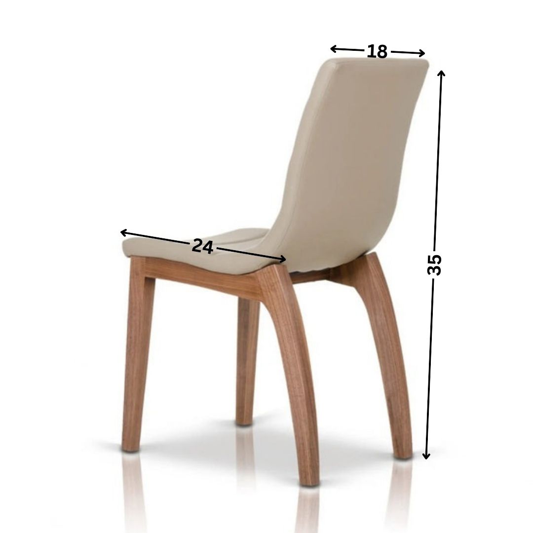 Dining Chair : OPP Modern Dining Chair