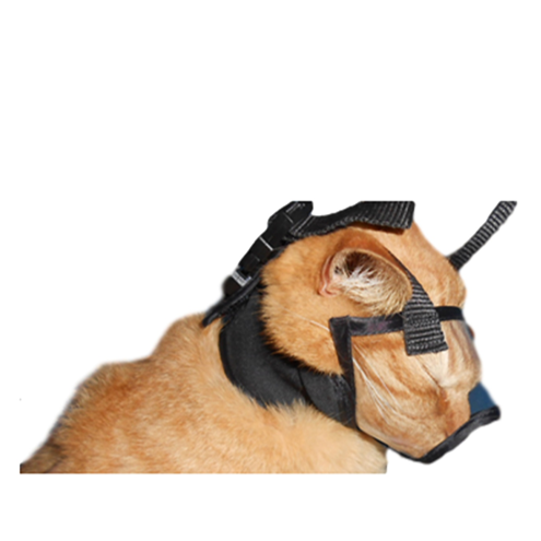 muzzle for cats