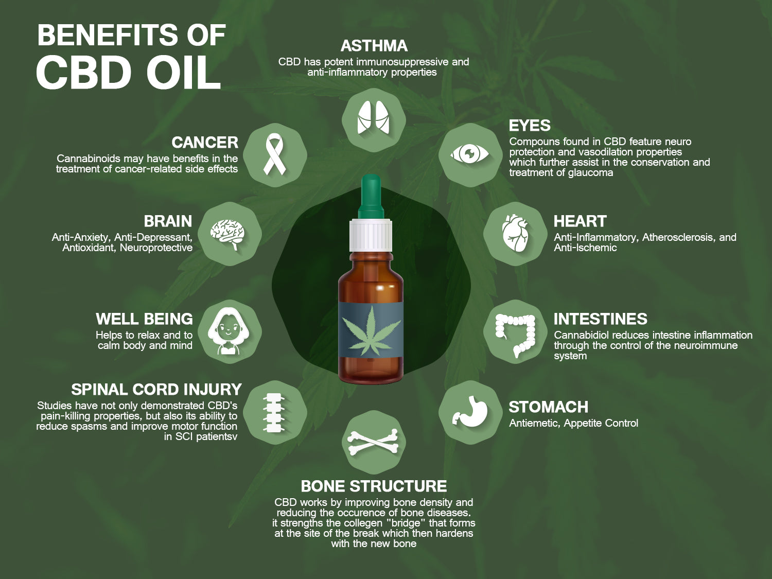 CBD oil