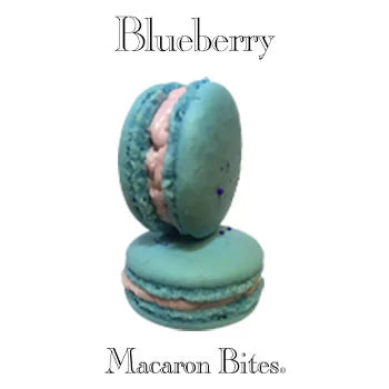 Blueberry Macaron