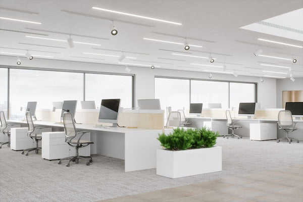 An image of a modern office with minimal color