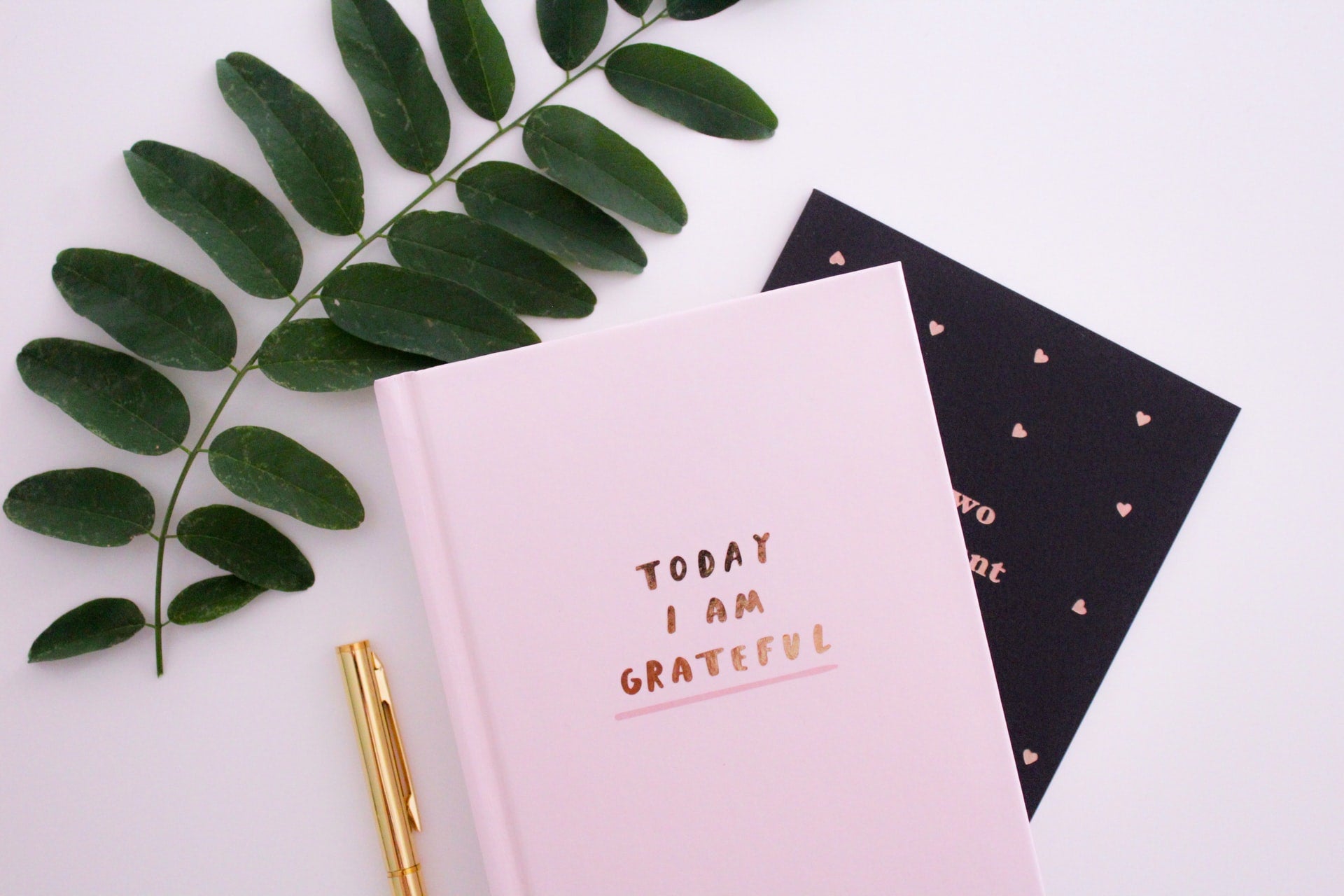 A gratitude journal given as a gift for someone with anxiety sits beside some greenery.