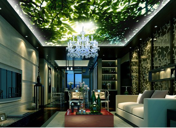Home Theater Ceiling Murals Home Theater Mart Media Room