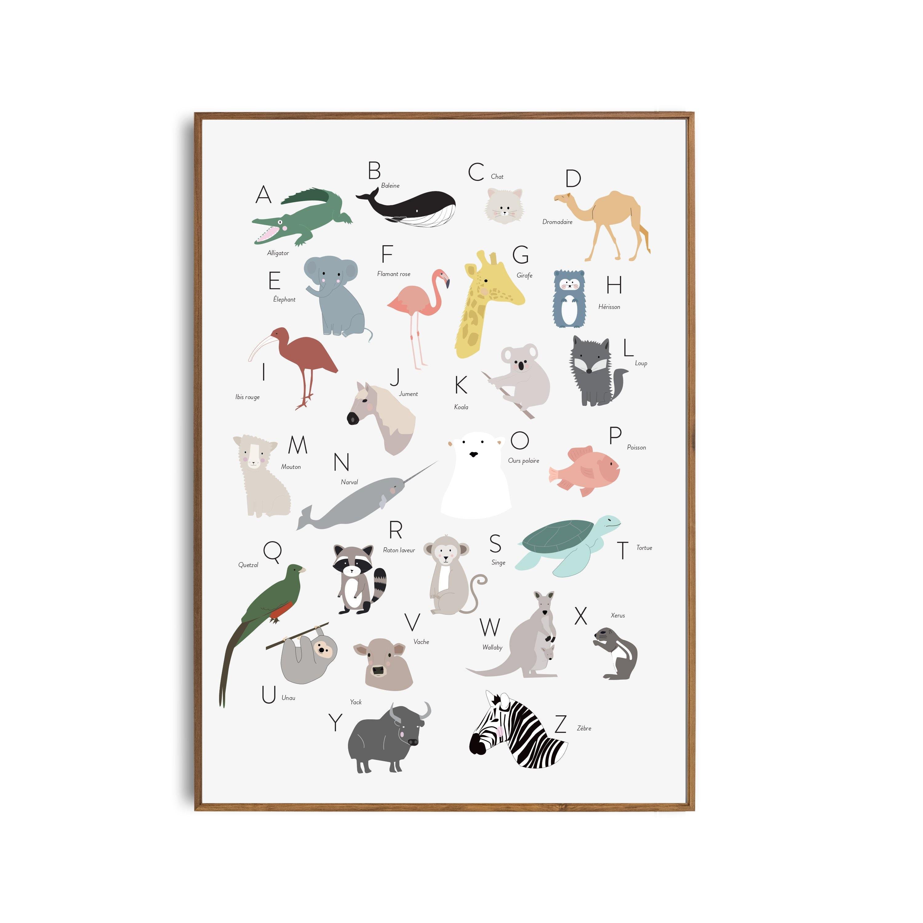 Affiche Abecedaire Des Animaux Cadeau De Naissance Original