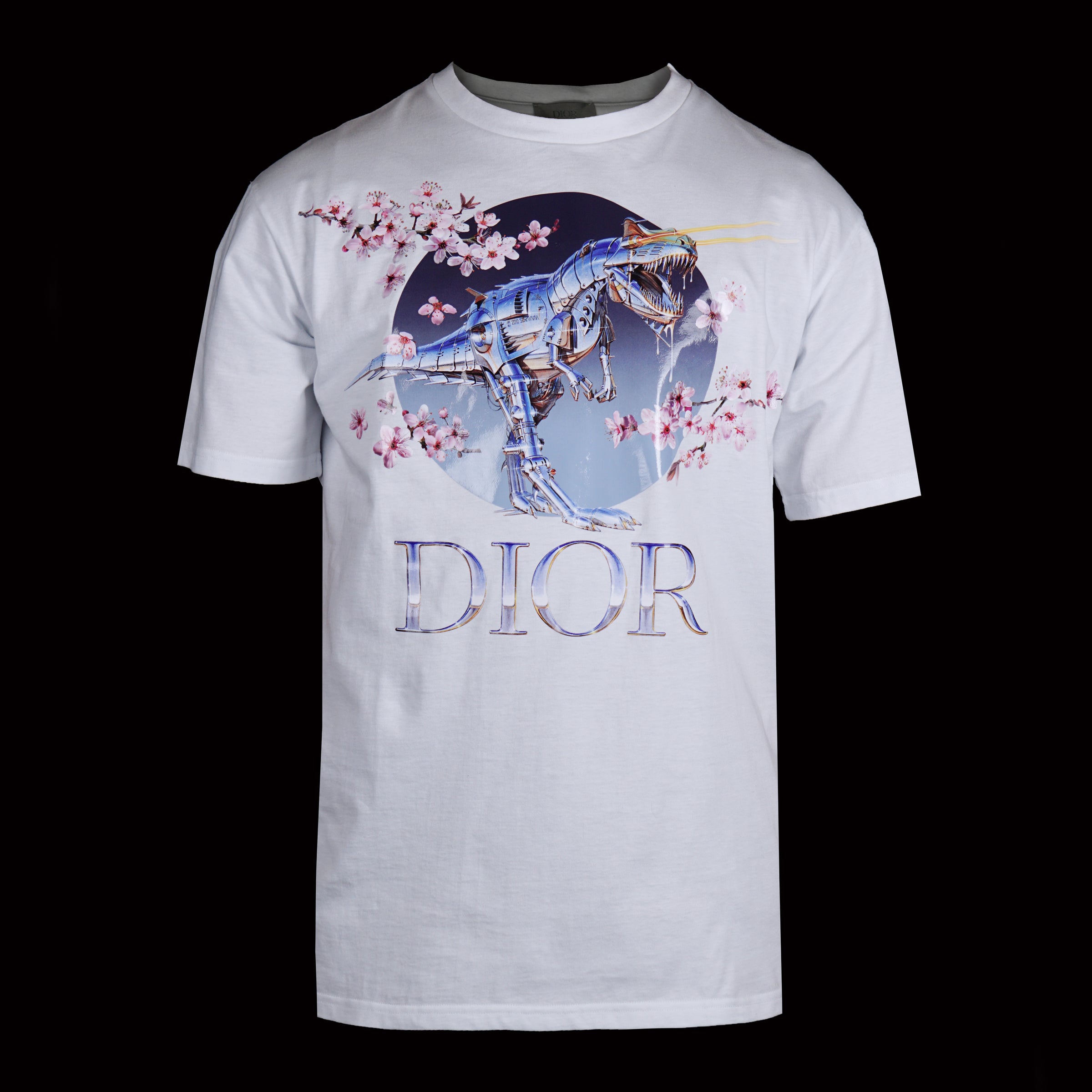 dinosaur dior shirt