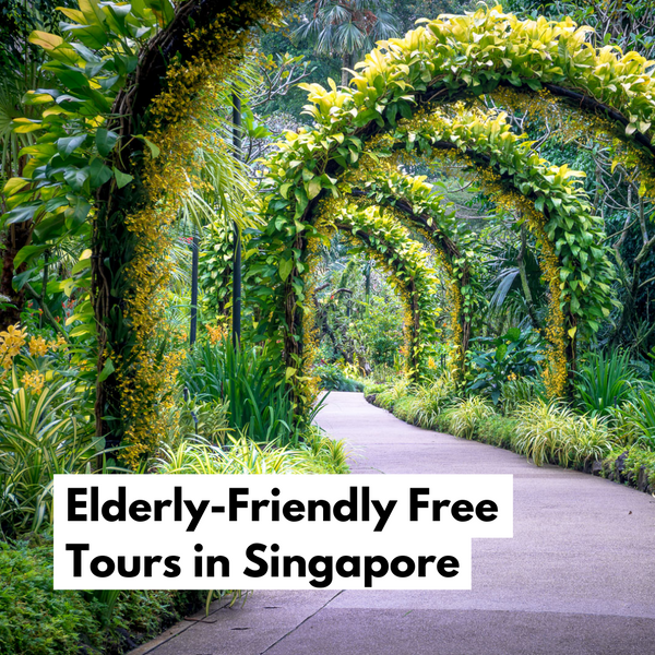 singapore tours for seniors