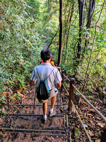 A man hiking with our Black Diamond Distance Carbon Z Trekking/Hiking Poles