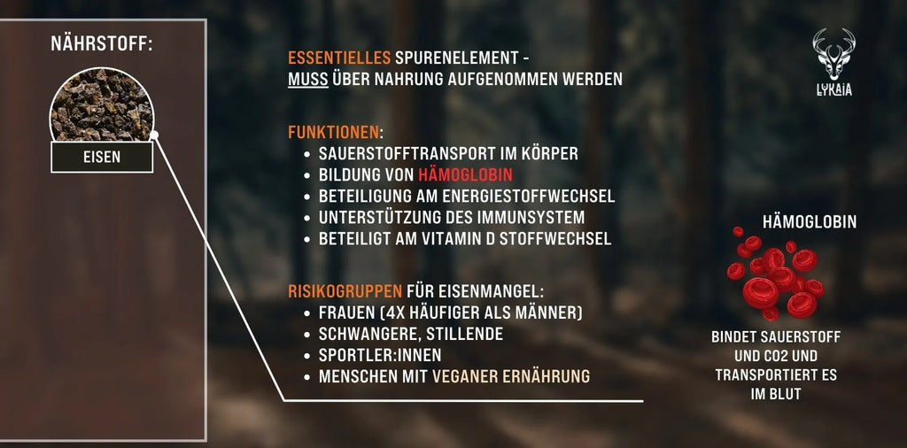 Warum Veganer ein erhöhtes Risiko für Eisenmangel haben