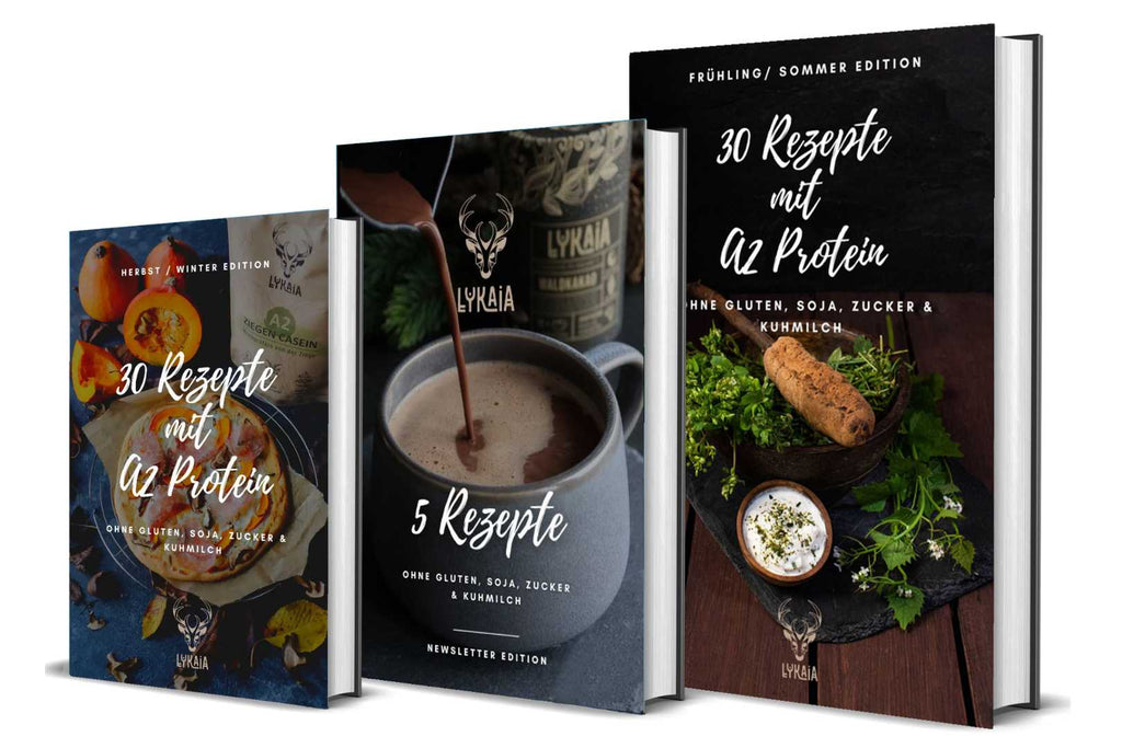 Recipes Ebook Bundle Lykaia Nutrition
