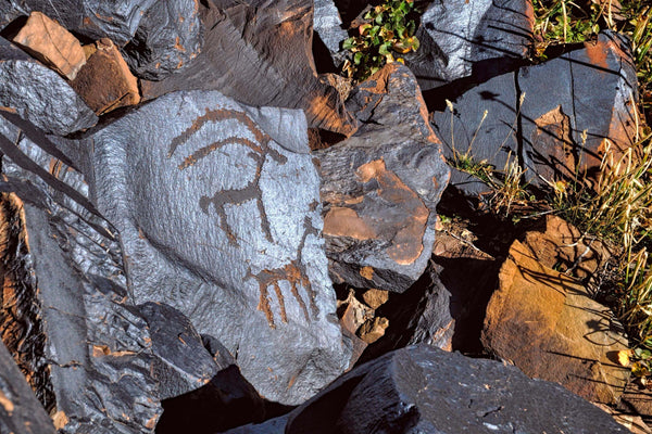 Ancient petroglyphs engraved into rocks at the Saimaluu Tash site in Kyrgyzstan. The oldest stones come from the Chalcolithic and Bronze Ages.