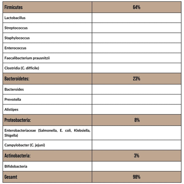 Bacterial species in the intestine