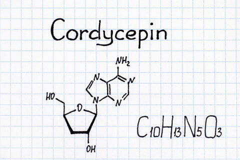 Chemical structure Cordycepin