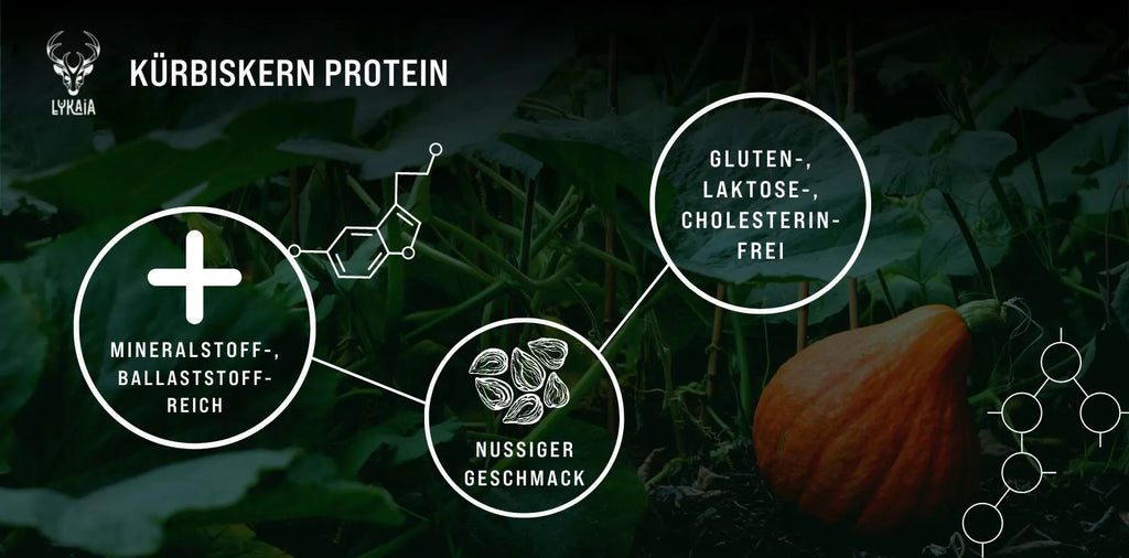 Was macht das Kürbiskernprotein zu einer optimalen, pflanzlichen Proteinquelle