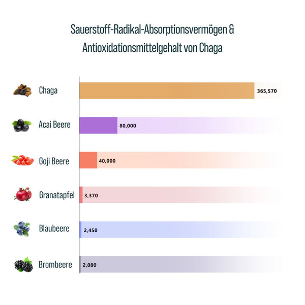 Chaga antioxidant content