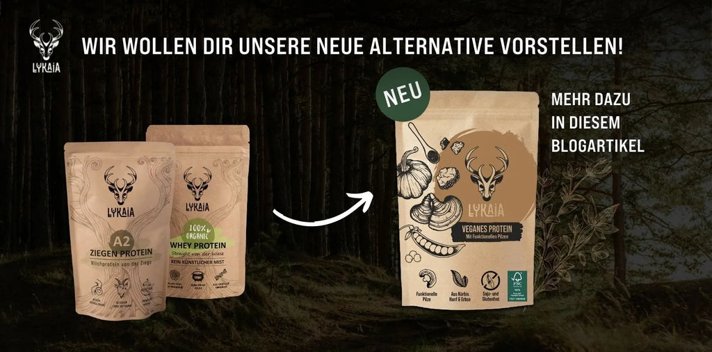 Unser neues, veganes 3-Komponenten Protein mit funktionellen Pilzen