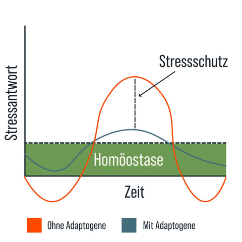 Stress response adaptogens