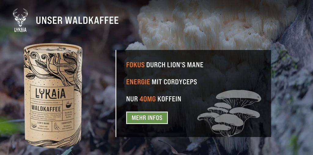 Wir von Lykaia haben einen Kaffee entwickelt, welcher Lion's Mane und Cordyceps Extrakte beinhaltet und jeden herkömmlichen Kaffee in den Schatten stellt