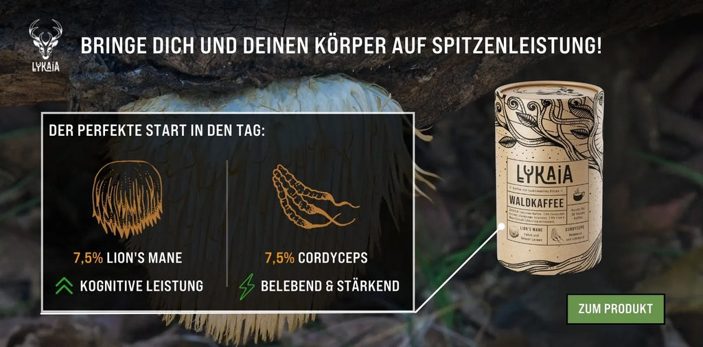Lion's Mane und Cordyceps in unserem Waldkaffee für eine perfekte Morgenroutine