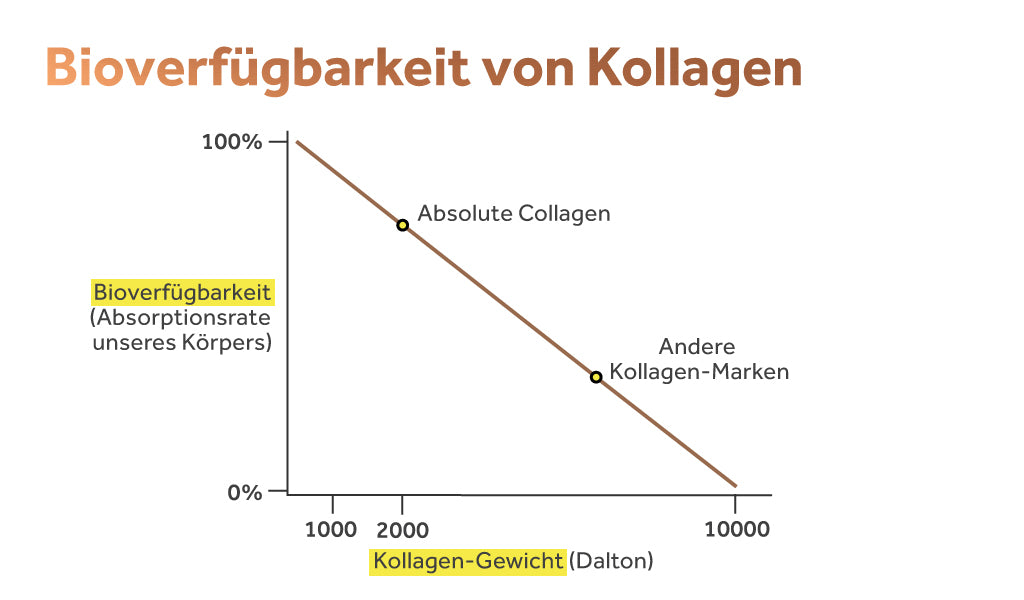 Grafik, die die Bioverfügbarkeit von Kollagen in Absolute Collagen im Vergleich zu anderen Marken zeigt