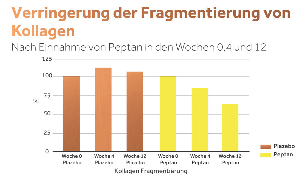  Grafik, die die Abnahme der Kollagenfragmentierung bei Verwendung von Peptan-Kollagen zeigt