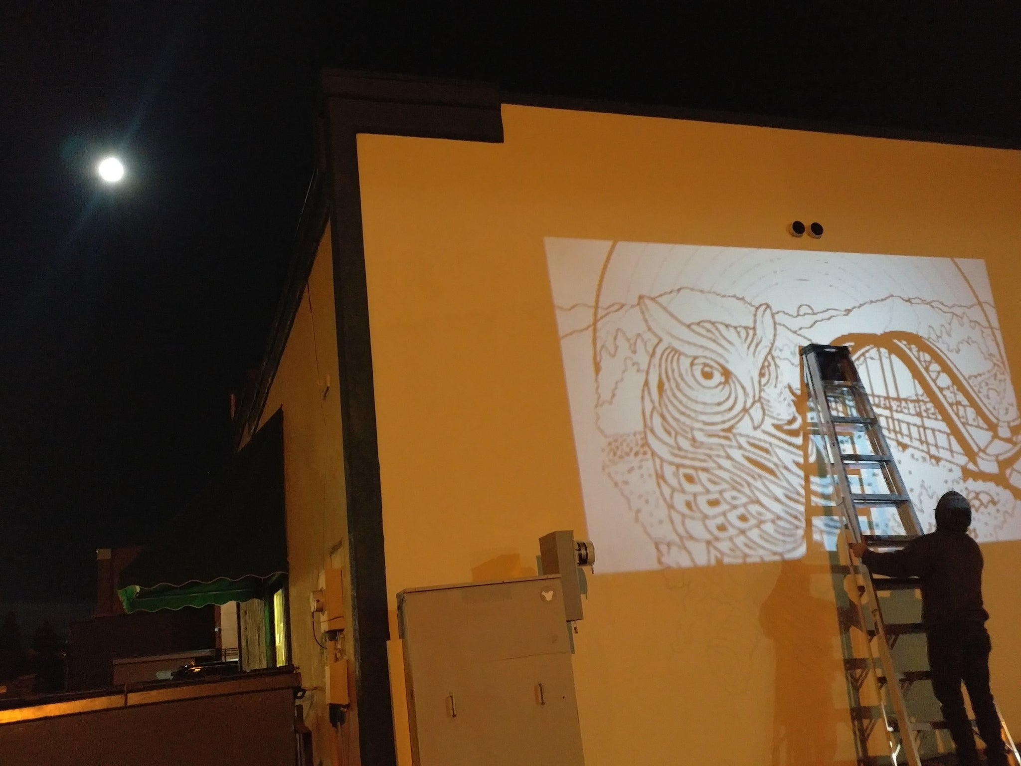 Hailey, ID "Owl Mural" in the sketchy beginning process.