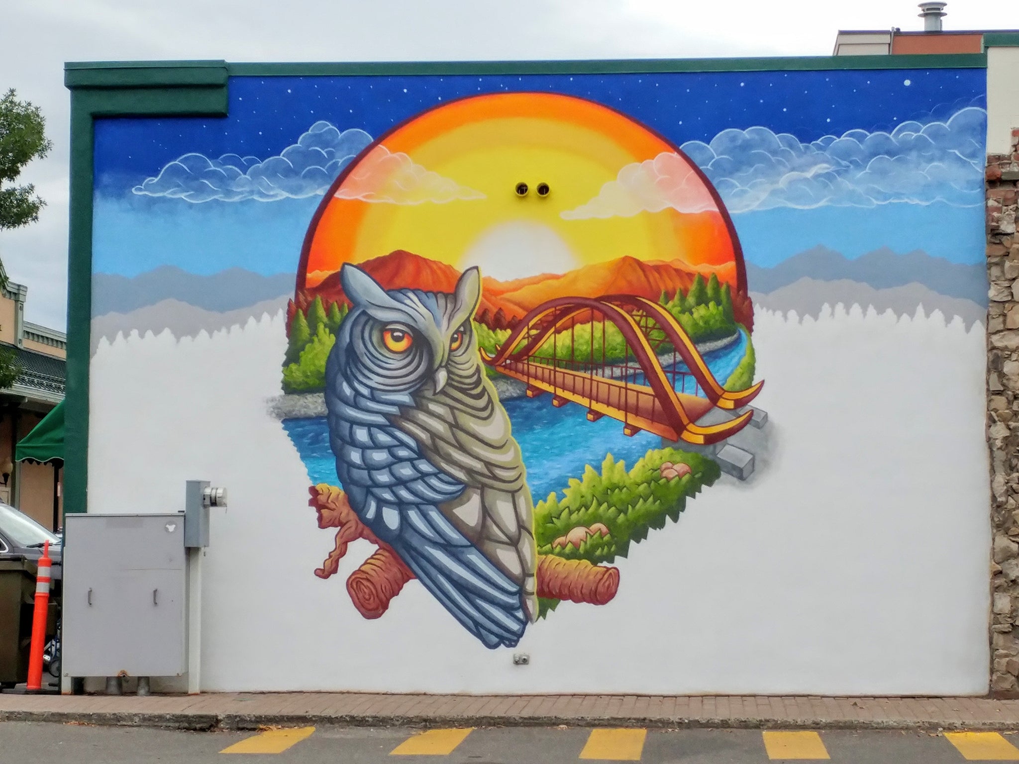 Hailey, ID "Owl Mural" just before finishing touches.