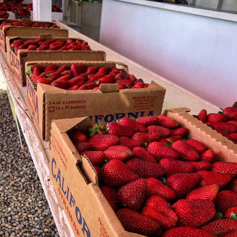 Vista, California Strawberries