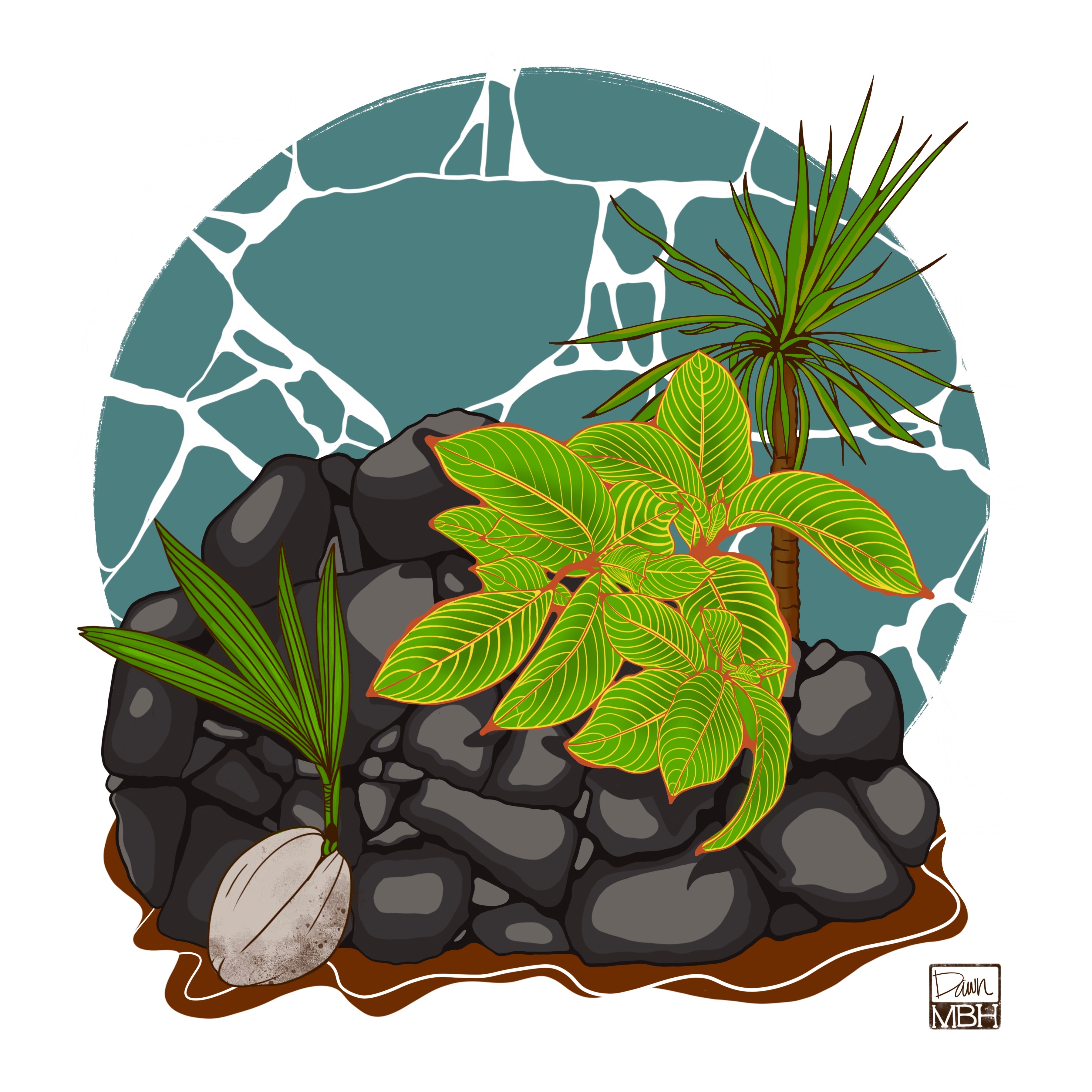 Digital illustration tropical island plants Hawaii