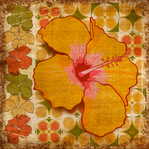 colorful hibiscus illustration