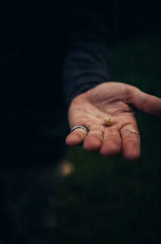 Hand holding a coffee bean