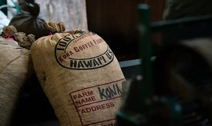 Kona coffee farm direct