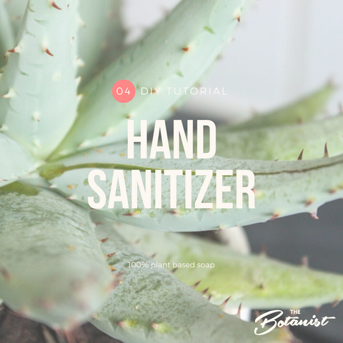DIY hand sanitiser