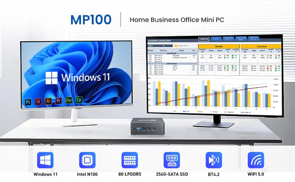 MP100 Home business