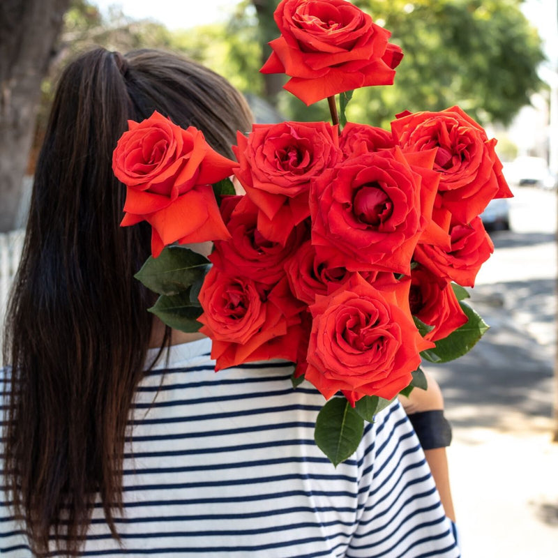 Hello Blooms Melbourne Flower Delivery Melbourne From 42
