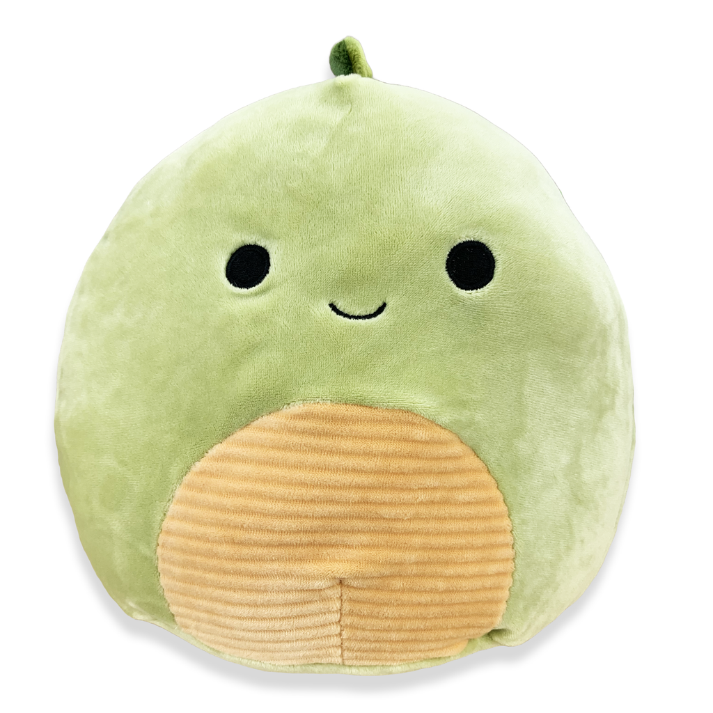 dinosaur 12 inch squishmallows