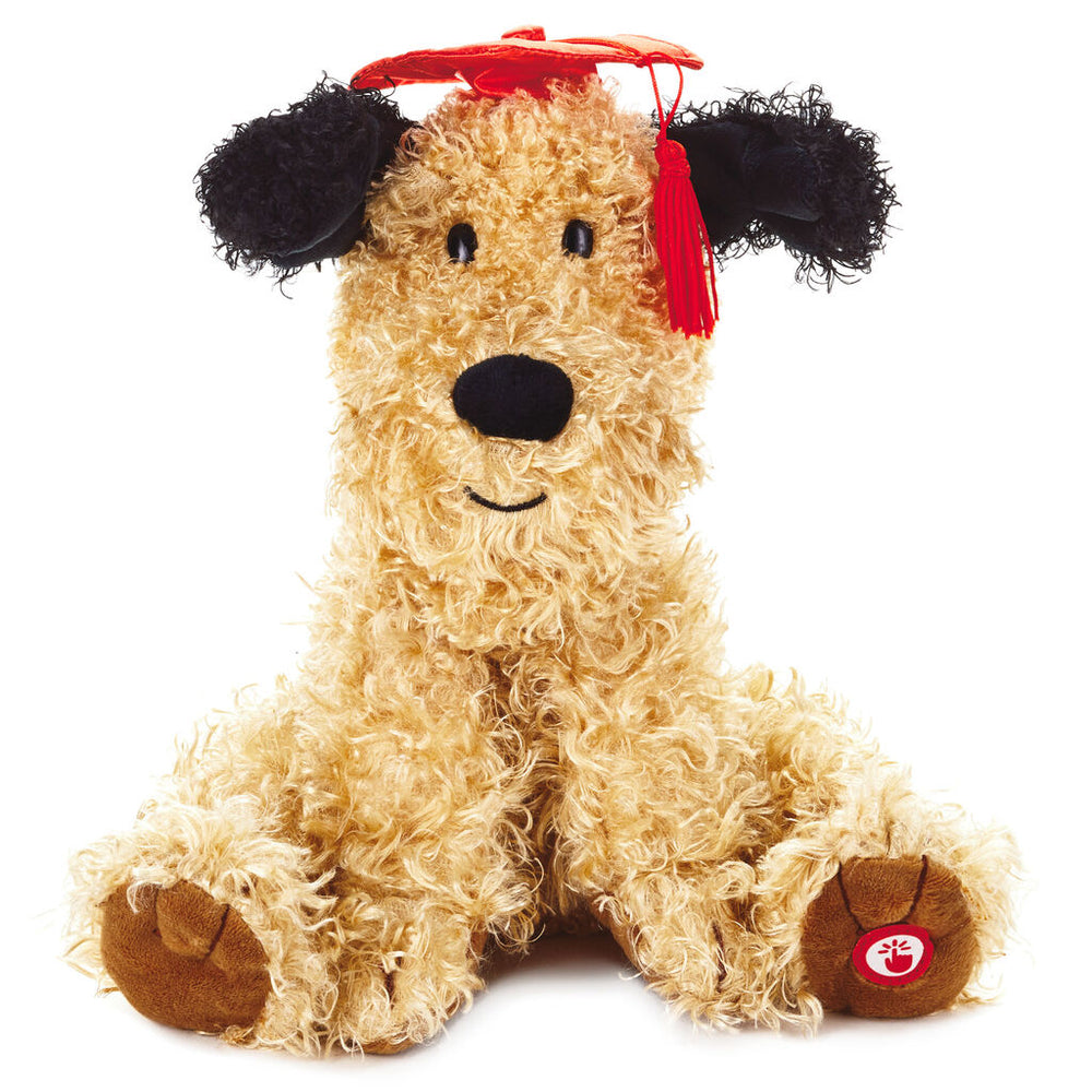 graduation dog plush