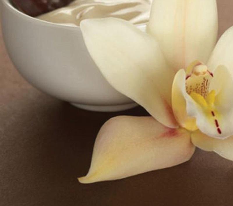 French vanilla. Цветок ванили. Орхидея ваниль. Французская ваниль. Ваниль фото.