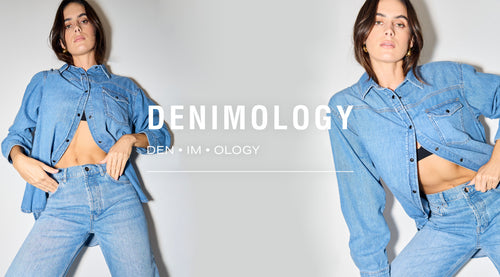 Denimology _ Landing PagINTRO.jpg__PID:ce3ad9f6-8b3b-4237-bcc0-118698b16e32