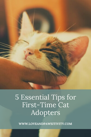 5 Essential Tips for First-Time Cat Adopters