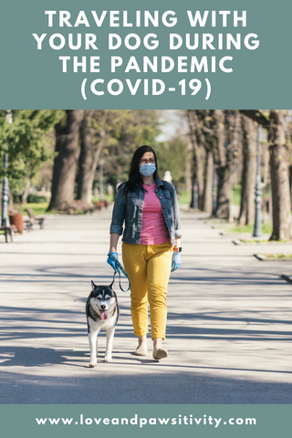 Traveling With Your Dog During the Pandemic (COVID-19)
