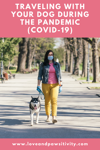 Traveling With Your Pet During the Pandemic (COVID-19)